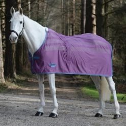 Weatherbeeta Abschwitzdecke Scrim Standard Neck Violet/Blau