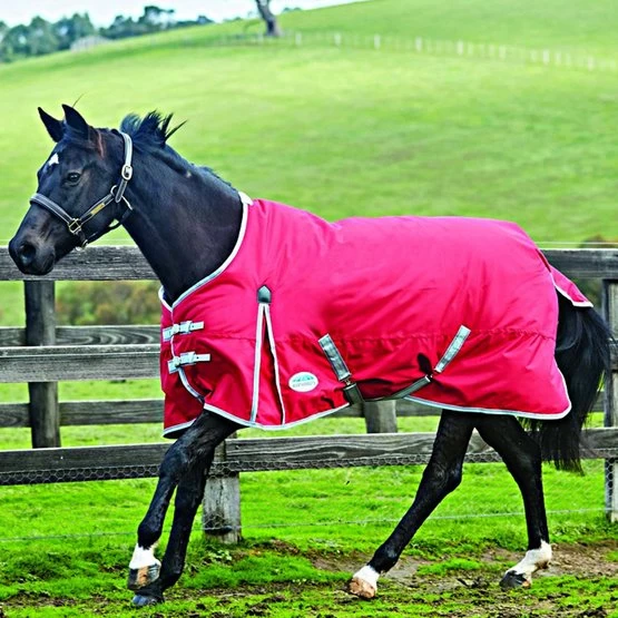 Weatherbeeta Lite Turnout Rug Comfitec Classic Standard Neck 0g Red/Silver/Navy – Bild 9