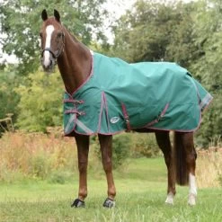 Weatherbeeta Winterdecke Comfitec Plus Dynamic II Standard Neck Lite Grün/Grau/Rot 160/215