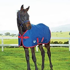 Weatherbeeta Medium Turnout Rug Original 1200D Fohlen Standard Neck 220g Navy/Rot/Weiß 55/90