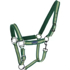 Weatherbeeta Halfter Coordinate Dunkelgrün/Tan/Hellgrün Warmblut