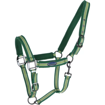 Weatherbeeta Halfter Coordinate Dunkelgrün/Tan/Hellgrün Warmblut