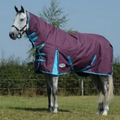 Weatherbeeta Comfitec Essential Combo Neck Medium Traube/Blau 75/120