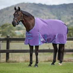 Weatherbeeta Winterdecke Comfitec Essential Standard Neck Lite Plus Violet/Blau 145/195