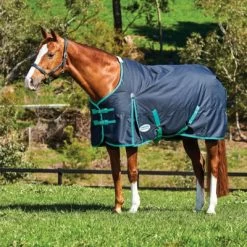 Weatherbeeta Comfitec Classic Standard Neck M 220g Schwarz 85/130