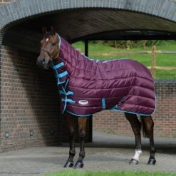 Weatherbeeta Comfitec 210D Channel Quilt Combo Neck Medium Traube/Blau 135/185