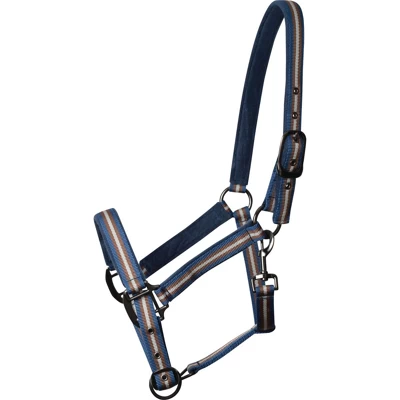 Weatherbeeta Halfter Coordinate Blau/Braun/Grau Pony