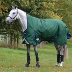 Weatherbeeta Comfitec Plus Dynamic II High Neck Medium/Lite Hunter/Navy 135/185