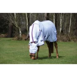 Weatherbeeta Fliegendecke Comfitec Airflow II Combo Neck White/Light Blue/Purple 145/195