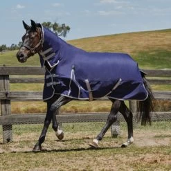 Weatherbeeta Medium Turnout Rug Plus Combo Neck Comfitec Essential 220g Navy/Silver/Red 95/145