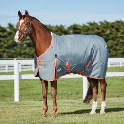 Weatherbeeta Comfitec Classic Standard Neck Medium Gunmetal/Koralle