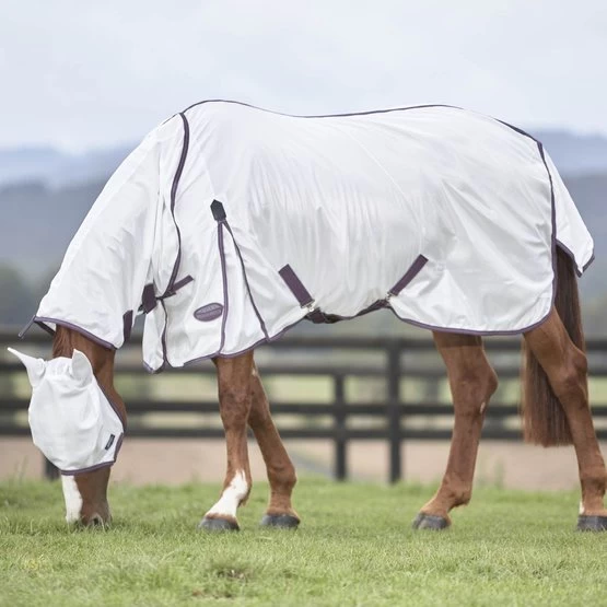 Weatherbeeta Comfitec Essential Mesh II Combo Neck Seahorse 155/205 – Bild 14