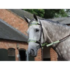 Weatherbeeta Zaumzeug Reflective 4 Stück Gelb One Size