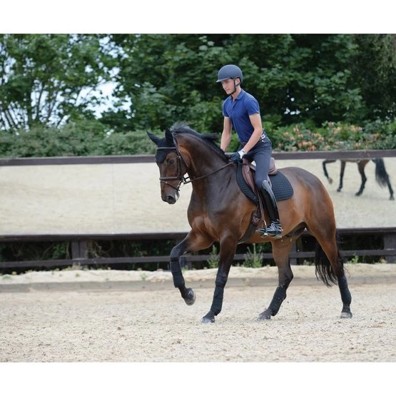 Weatherbeeta Schabracke Prime Springen Schwarz – Bild 2